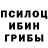 Галлюциногенные грибы Magic Shrooms Libnekrib